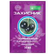 Захисник